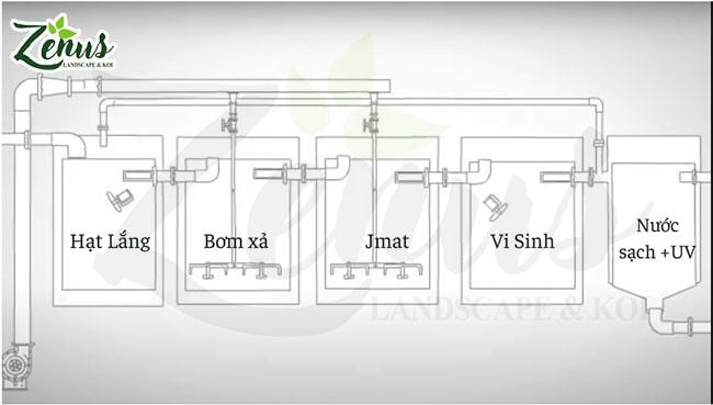 Thiết kế kỹ thuật hồ koi cá koi