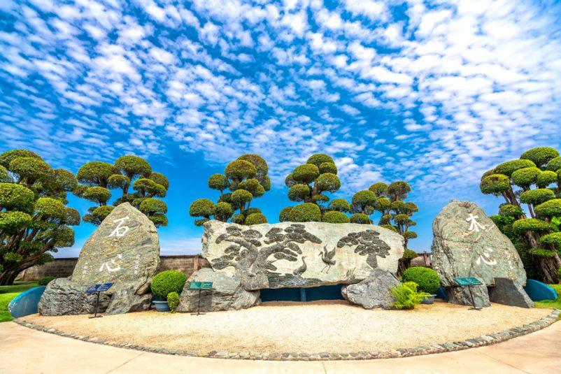 Rin Rin Park có rất nhiều cây bonsai quý hiếm thuộc nhiều chủng loại khác nhau. Một số cây có giá trị lên đến hàng chục tỷ đồng.