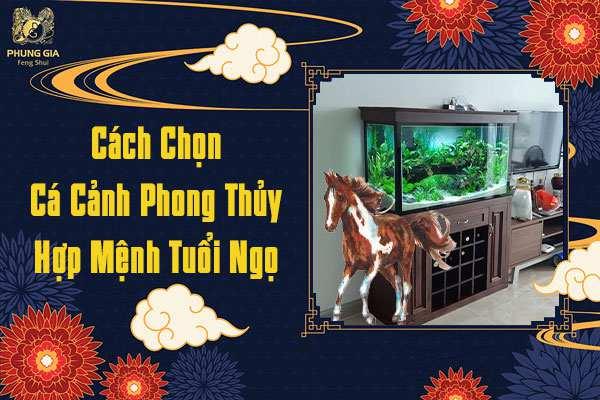 Cách Chọn Cá Cảnh Phong Thủy Cho Người Tuổi Ngọ