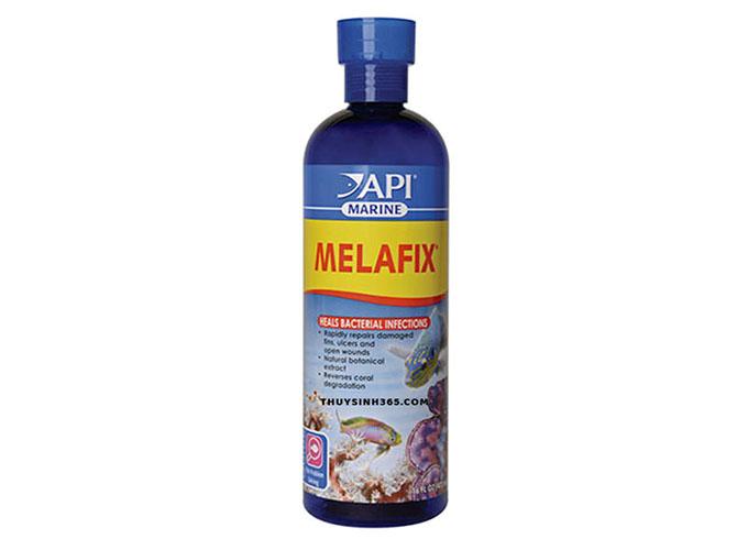Cách trị bệnh thối thân ở cá bằng Melafix