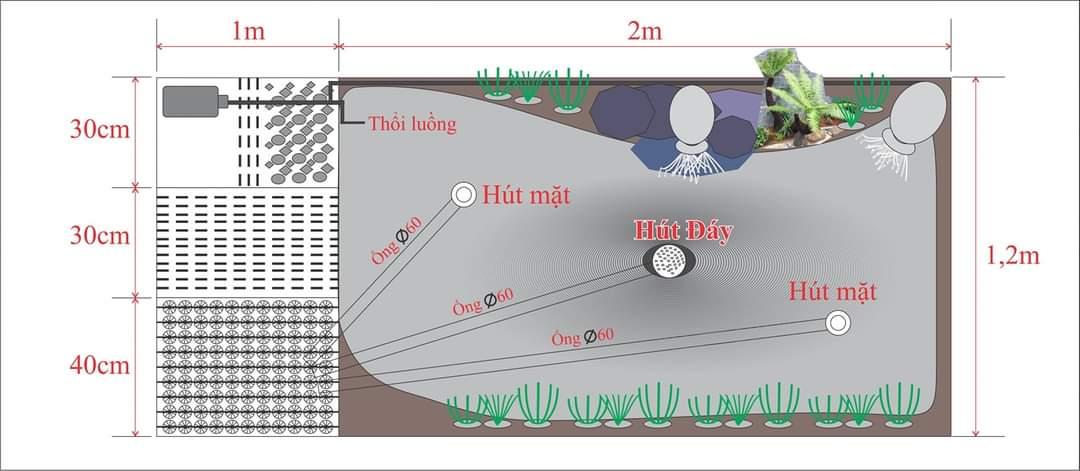 Ví dụ về bản vẽ thiết kế hồ cá koi