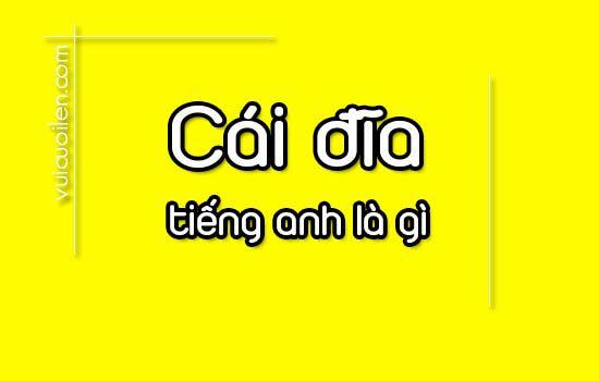 Cái đĩa tiếng anh là gì? đọc như thế nào cho đúng