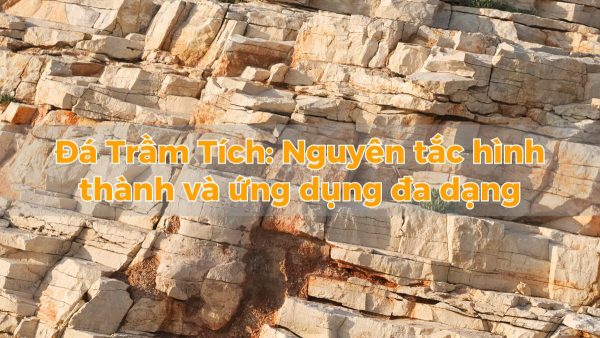 Đá Trầm Tích Nguyên tắc hình thành và ứng dụng đa dạng