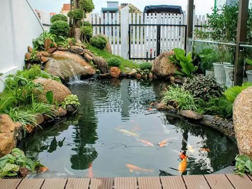 Tiểu cảnh hồ cá sân vườn thể hiện được giá trị và phong cách riêng của ngôi nhà