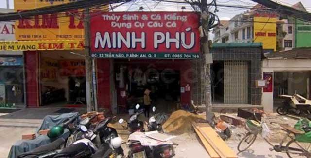 Thuỷ Sinh - Cá Kiểng Minh Phú